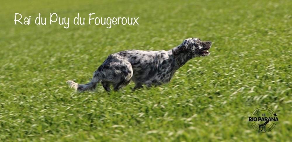 TR. Raï Du Puy Du Fougeroux