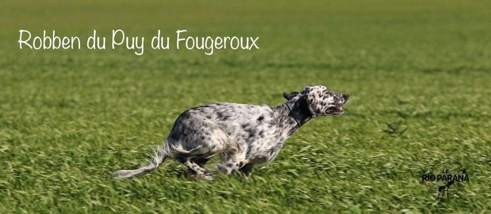 TR. Robben Du Puy Du Fougeroux